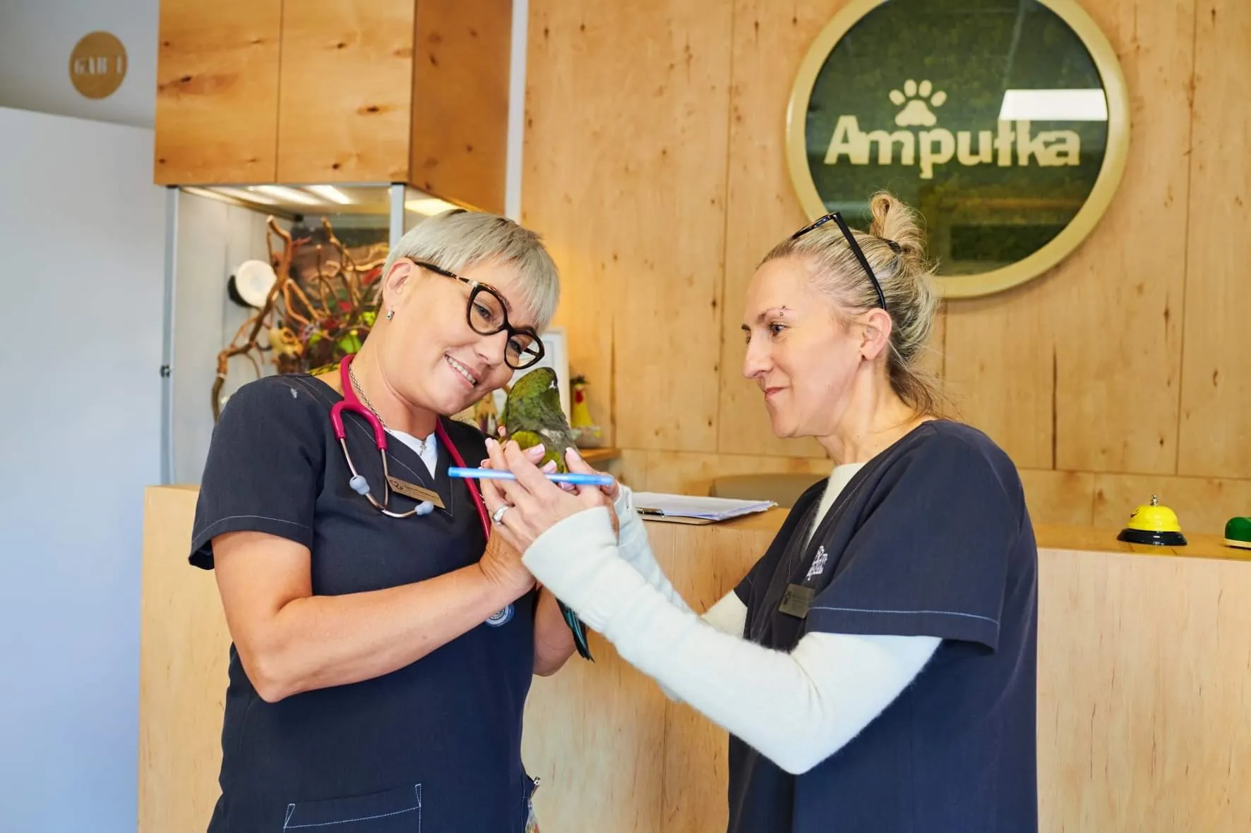 Przychodnia Weterynaryjna Ampułka dołączyła do Grupy LuxVet