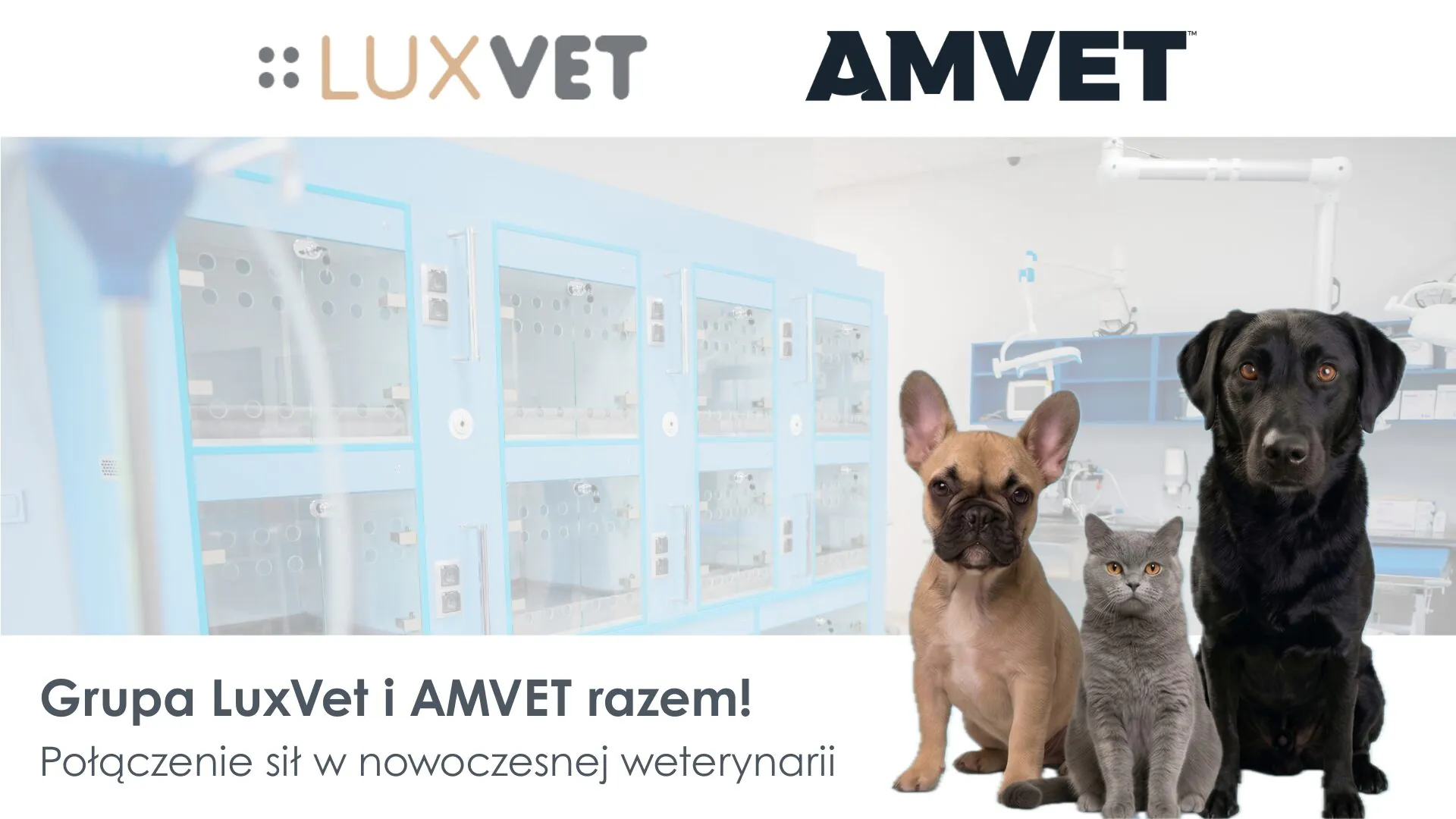 Połączenie sił w nowoczesnej weterynarii: Grupa LuxVet i AMVET razem!